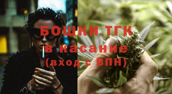 шишки Алексин