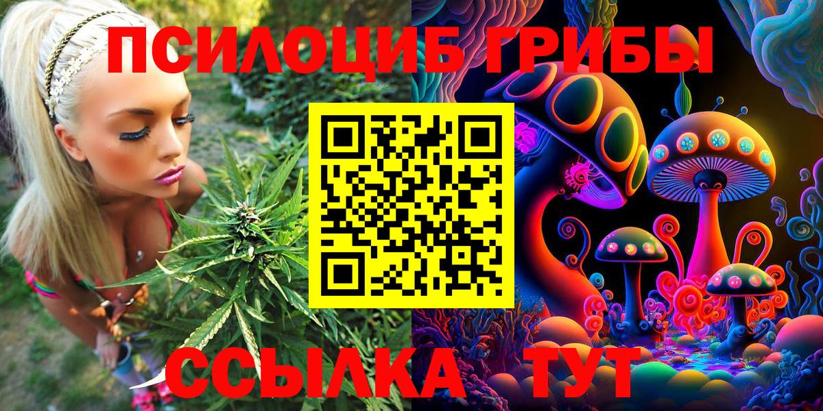 Амурск  Псилоцибиновые грибы ЛСД  Вход с VPN 