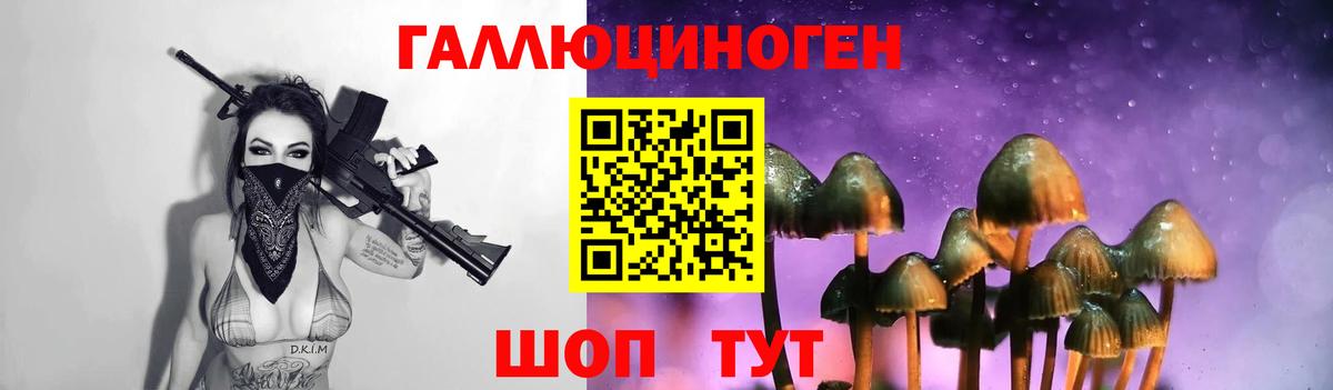 Псилоцибиновые грибы прущие грибы Амурск
